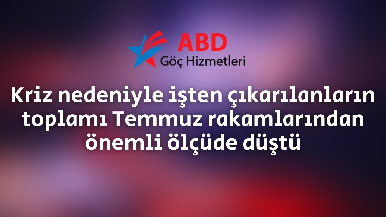 Abd Goc Hizmetleri: Meslekler